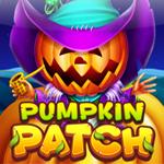 Pumpkin Patch