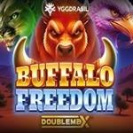 Buffalo Freedom
